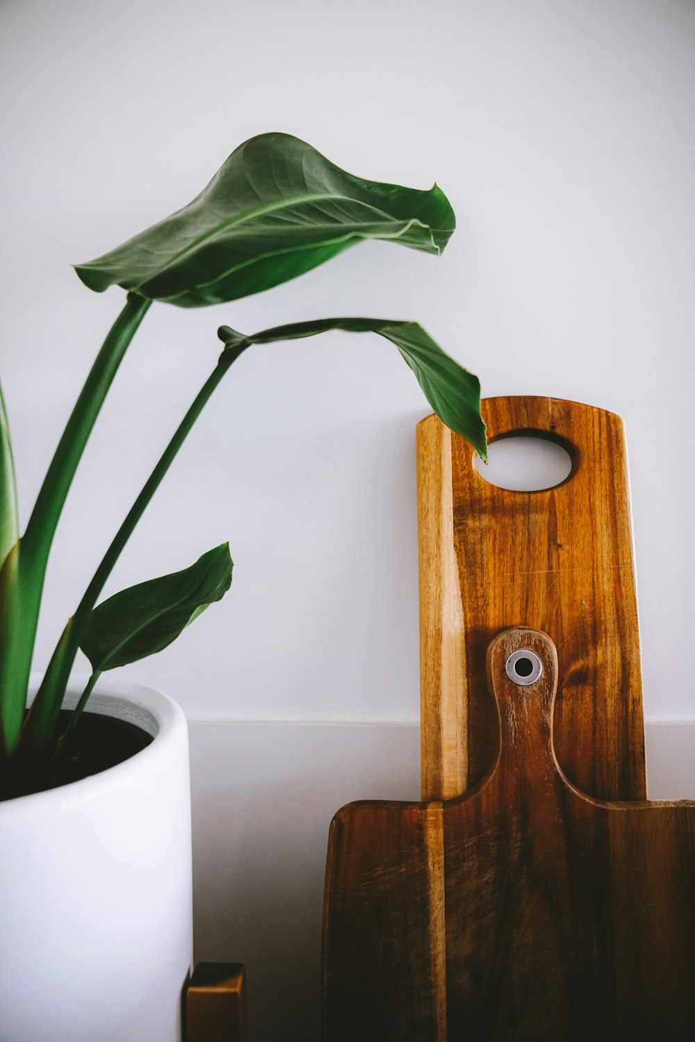 brown wooden chopping boards on wall