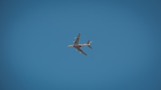 A large commercial airplane, possibly an Airbus, is flying against a clear blue sky. The aircraft is seen from below and is prominently marked with airline branding.