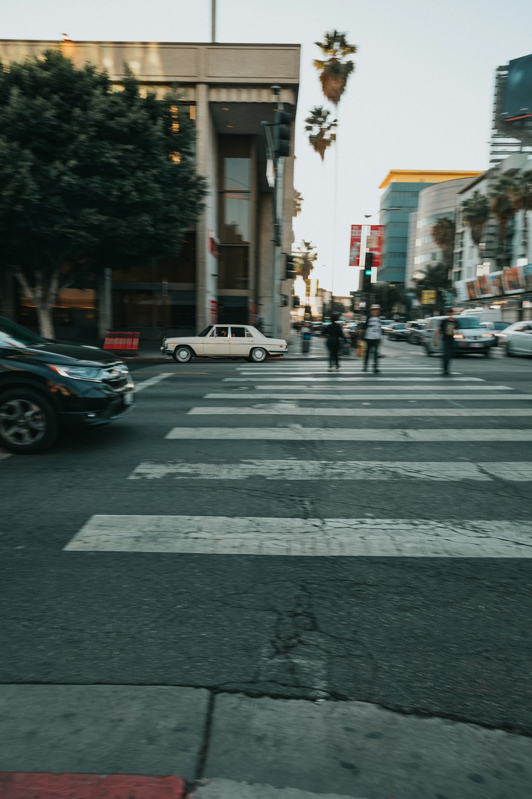 people on pedestrian lane