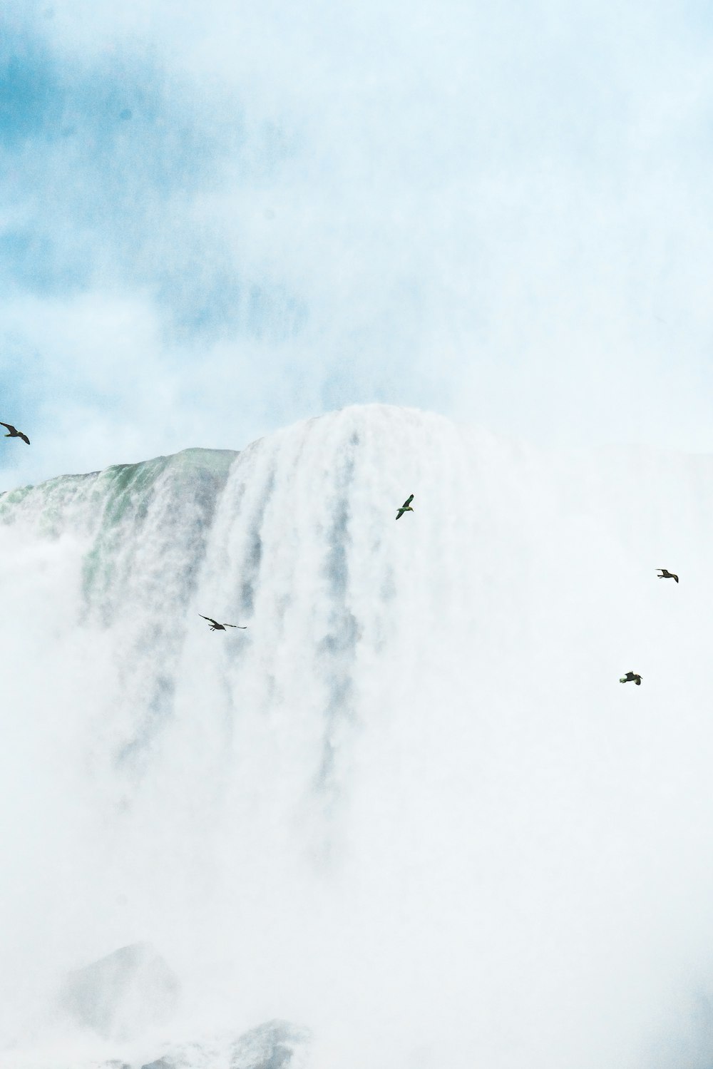 clear waterfalls during daytime