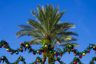 Palm trees adorned with Christmas wreaths and lights under the Florida sky, with silhouettes of families enjoying festive celebrations.