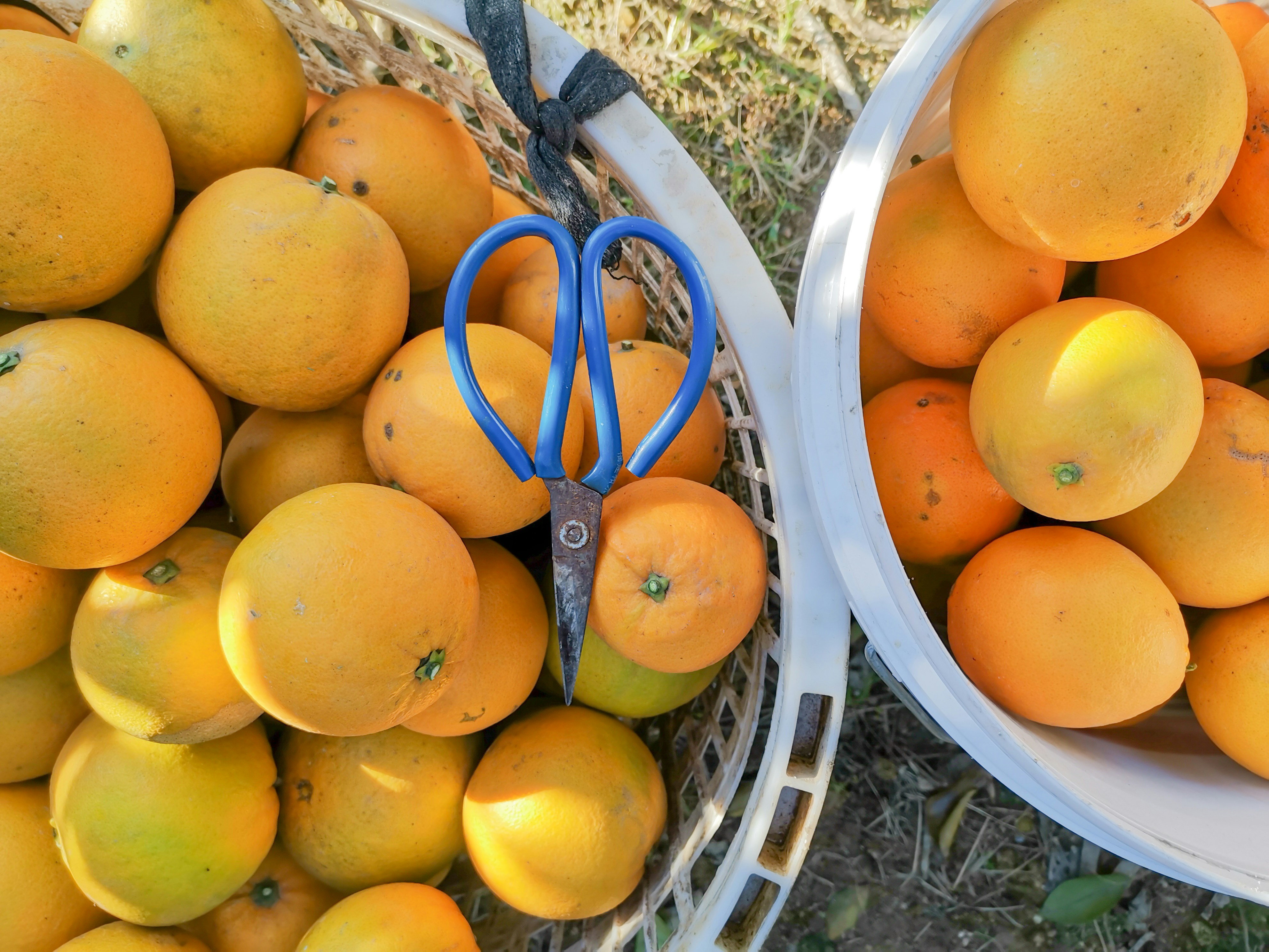 Photo by plscheckingtheairvents