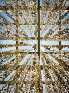 Natural light highlighting the intricate folds of a paper art installation.
