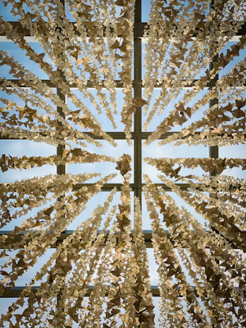 Natural light highlighting the intricate folds of a paper art installation.