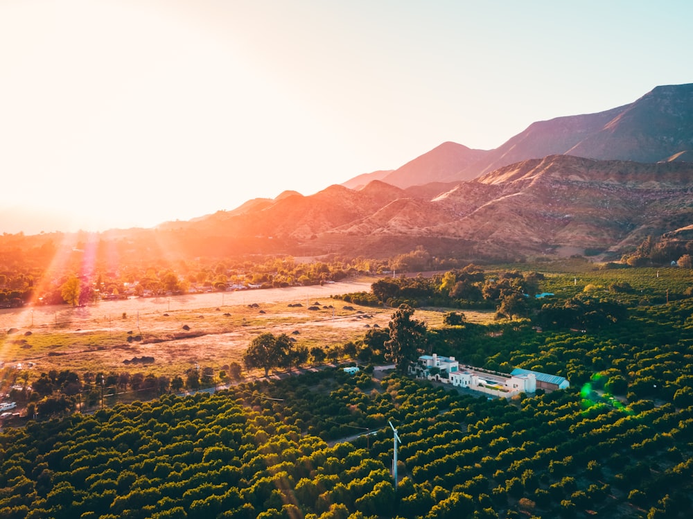 aerial photography of green field at daytime