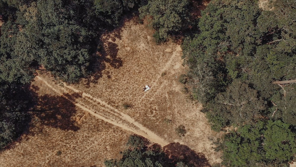 Photo aérienne sur la terre près des arbres