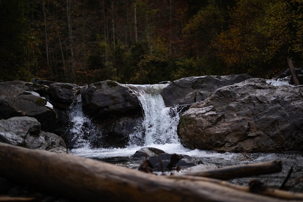 waterfalls and trees