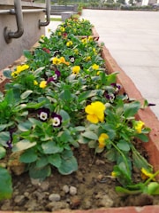 A metal planter box with a delicate trellis, blooming with vibrant flowers on a sunny patio.