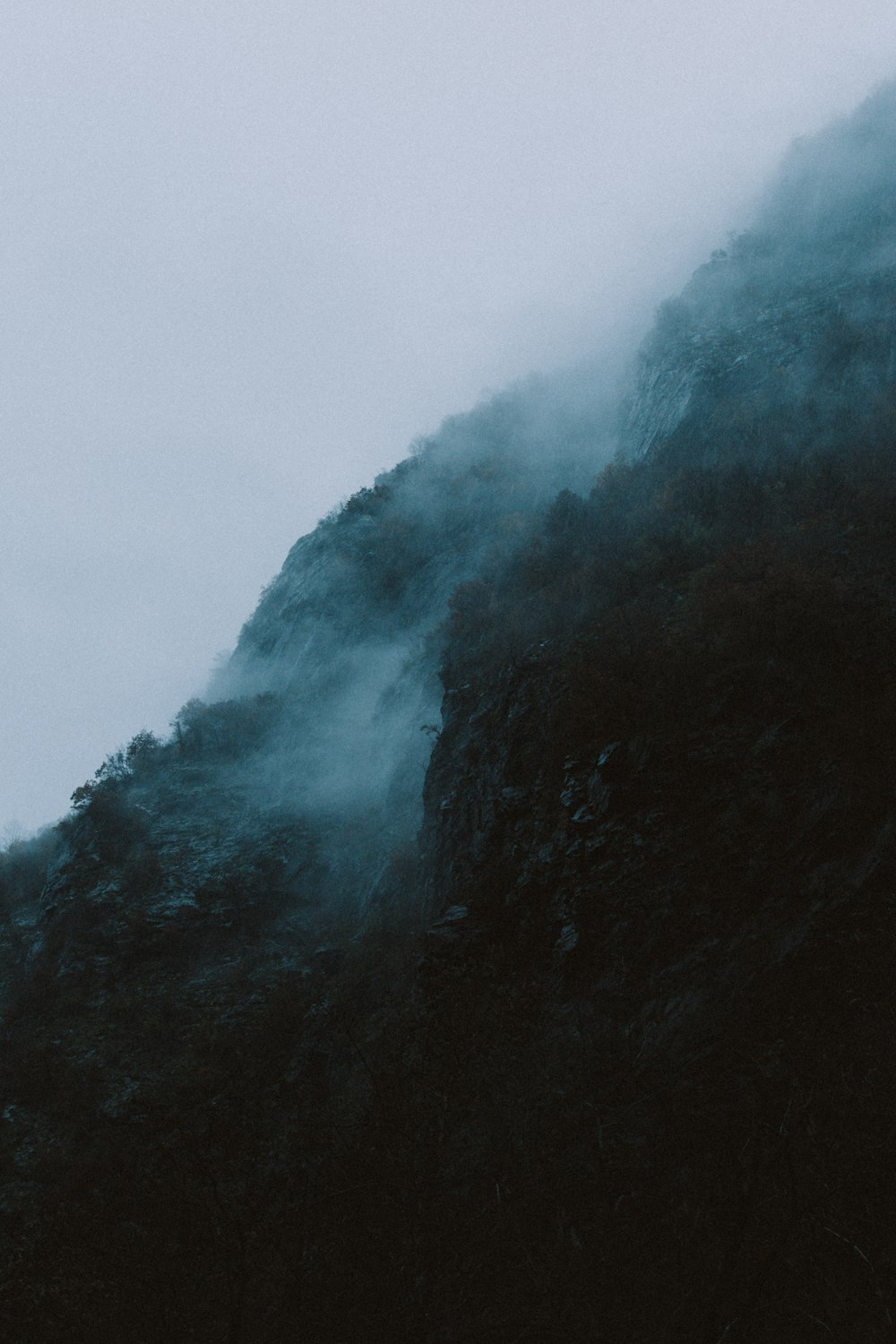 mountain and sea of clouds