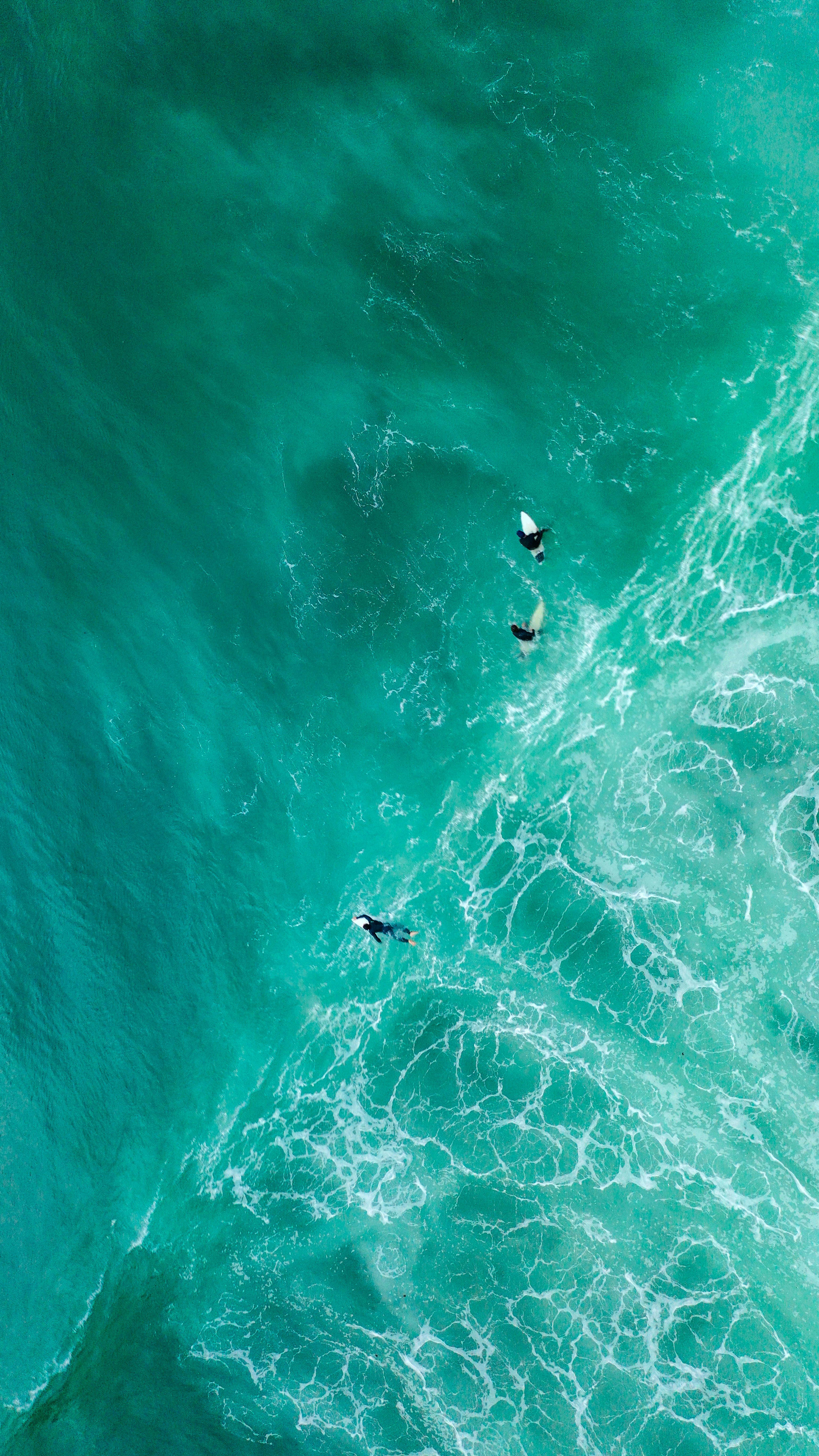 aerial photography of surfers on sea