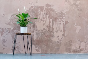 Cream Plant Hanger