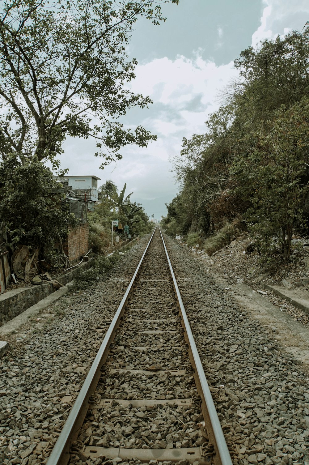 railroad between trees and plants undet white sky