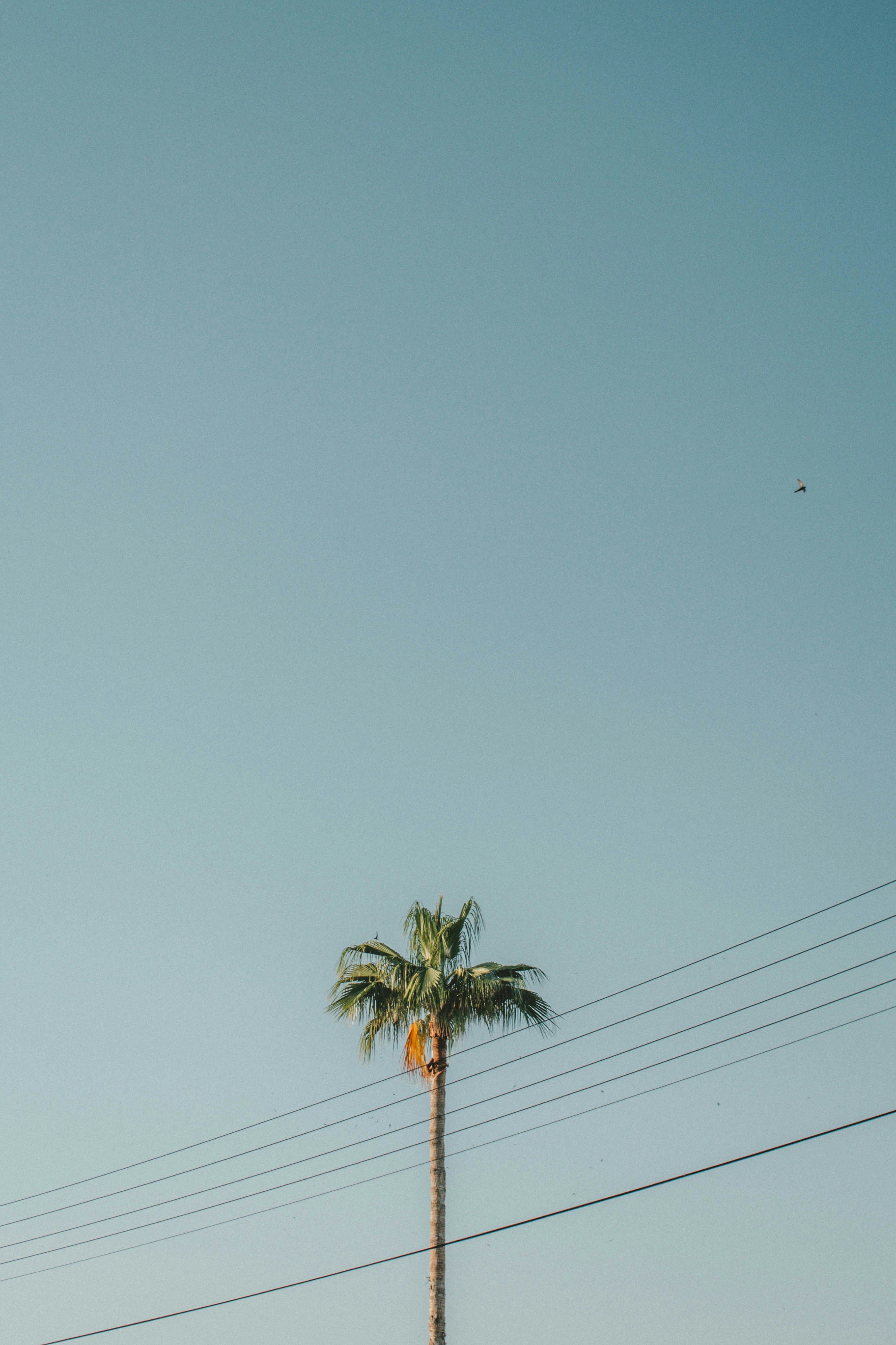 Photo by hellodannyfeng