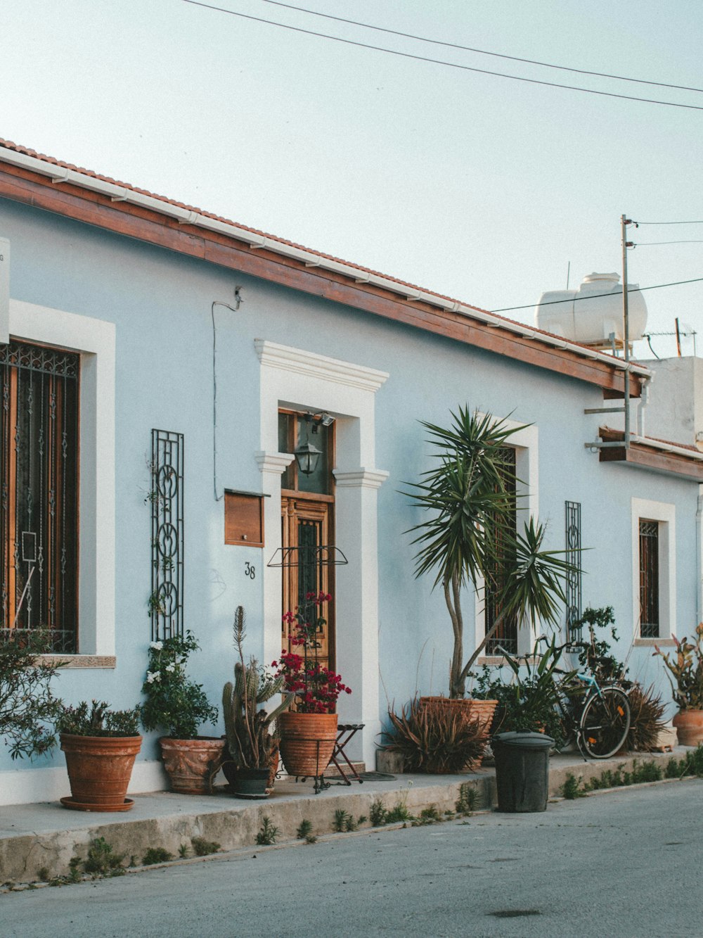 Plantes en pot devant la Maison Blanche