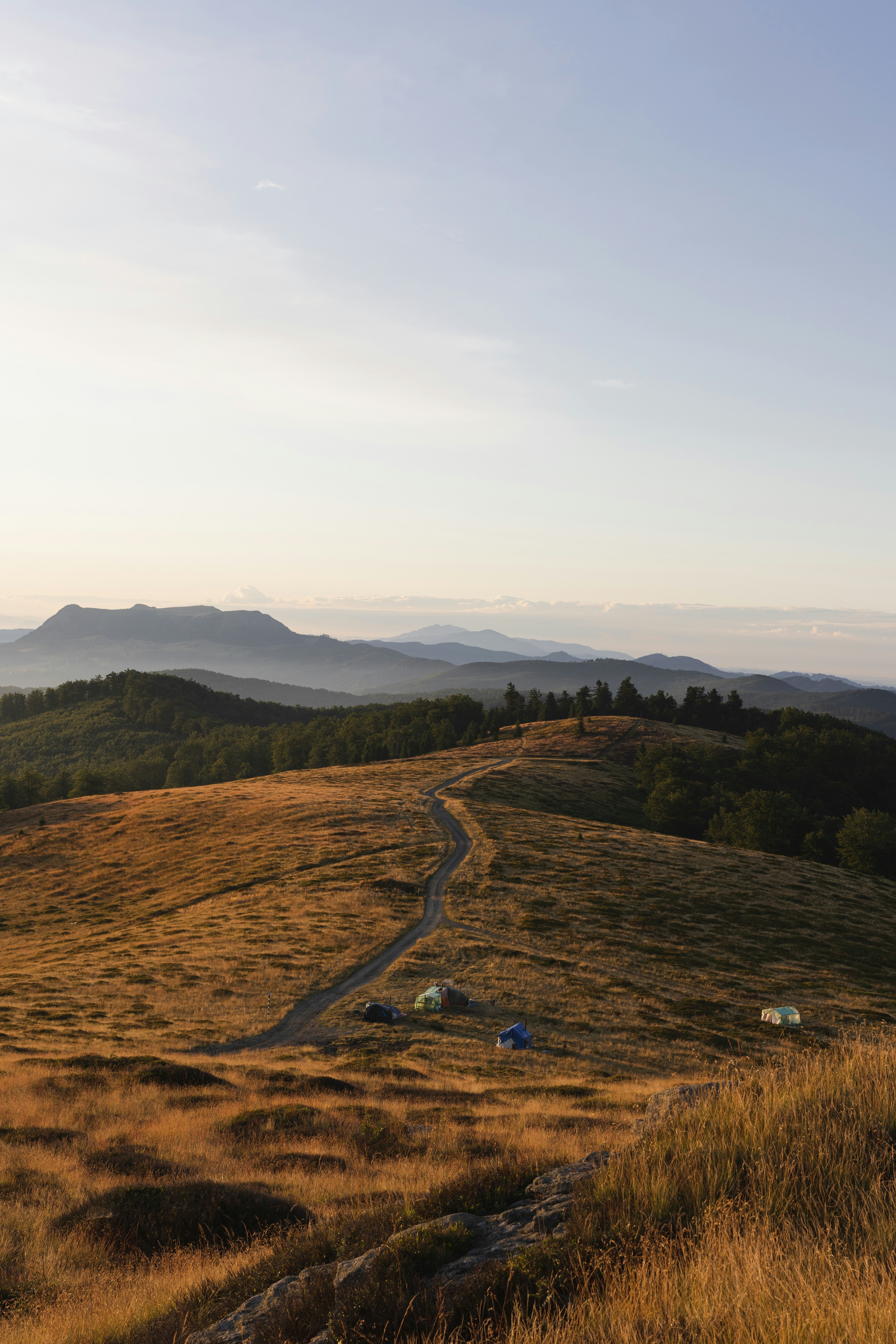 Photo by iulialexandra