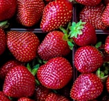strawberry fruit lot
