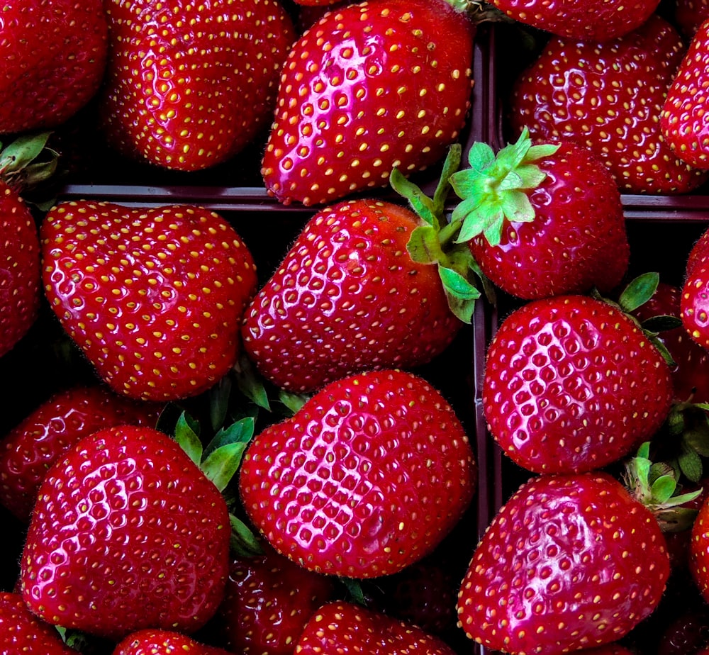 Erdbeer-Obst-Partie