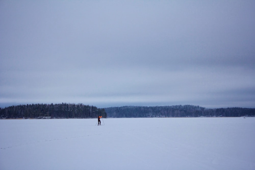 snowfield under gray sky