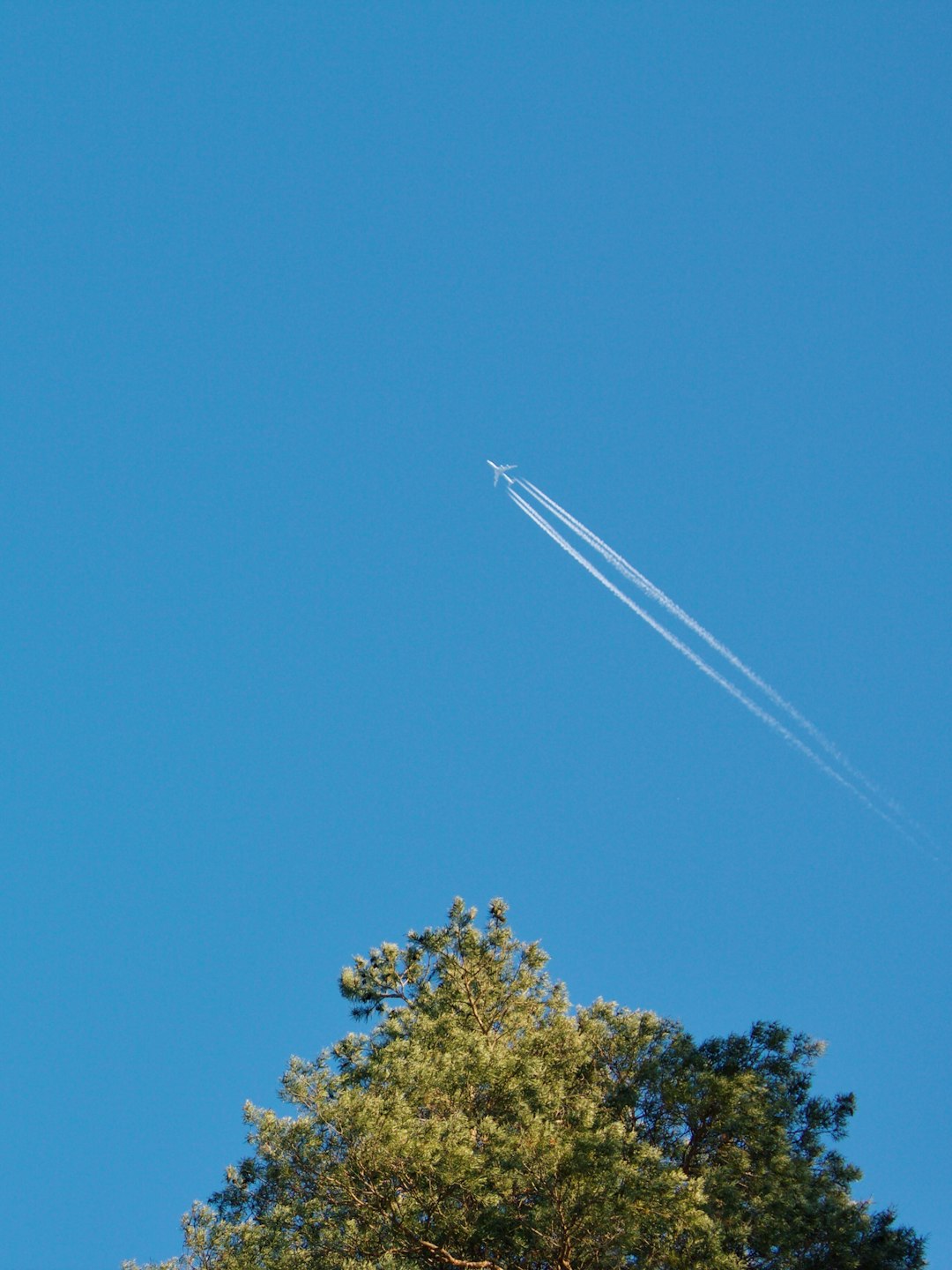 airplane flying during daytime
