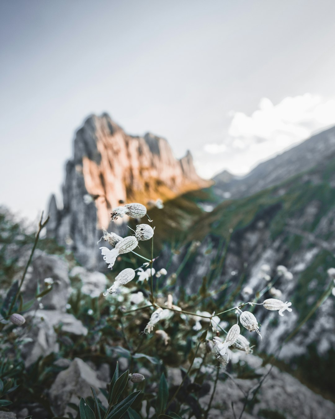 Mountain photo spot Saxer Lücke Glarus Süd