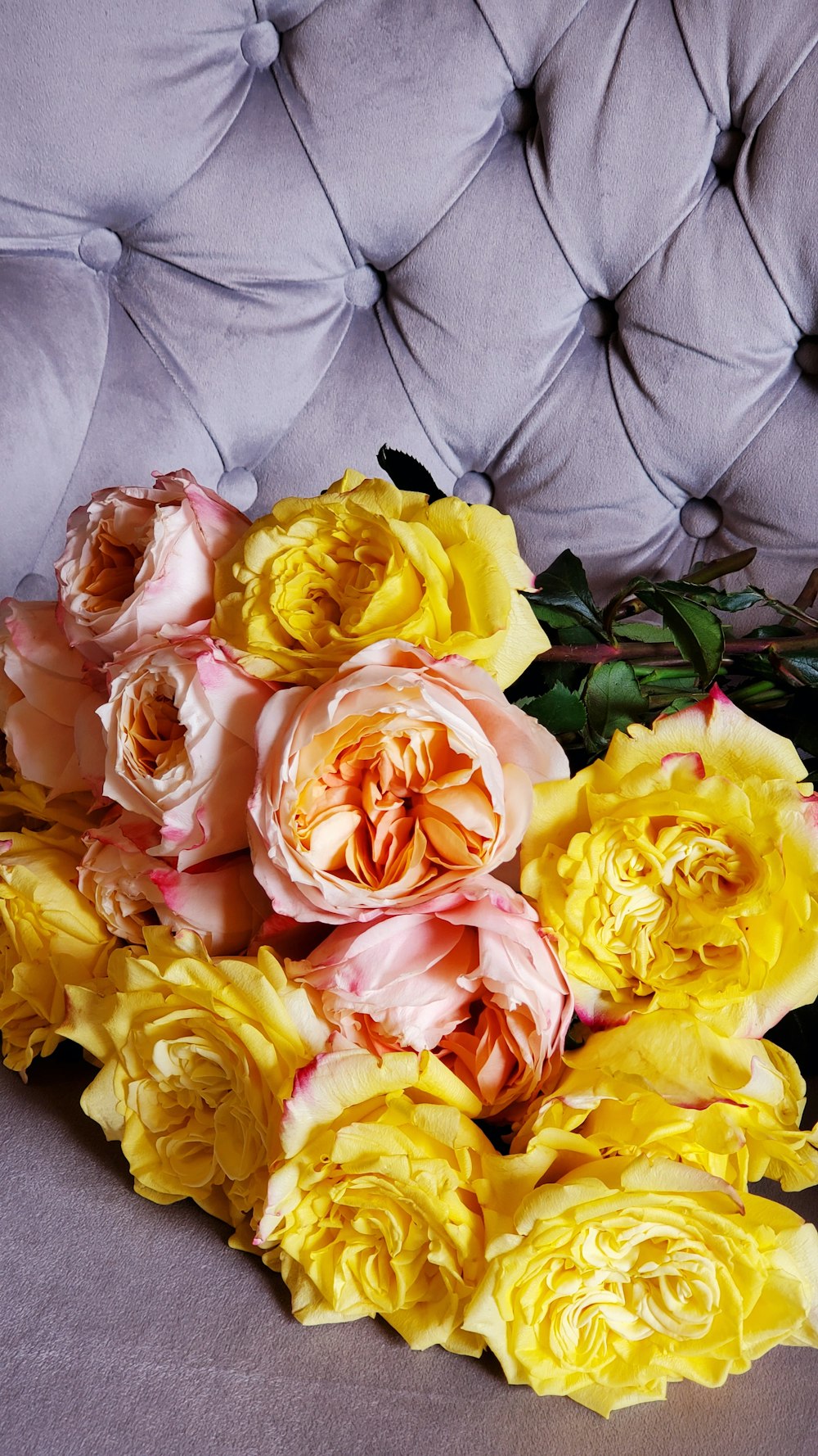 flores de rosas amarillas y rosadas en flor