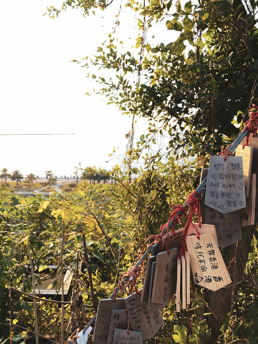 tags on string facing plants and tree