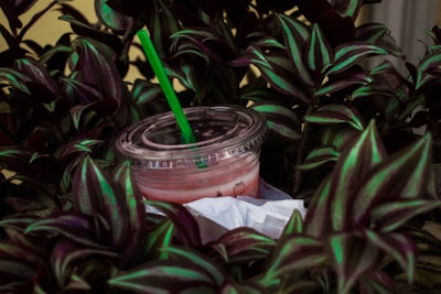 A plastic cup with a transparent lid and a green straw containing a pink beverage is nestled among lush, dark-green and purple leaves. The drink appears partially consumed, and the cup is resting on a white napkin.
