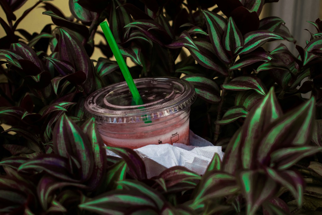 Insulated Travel Tumbler