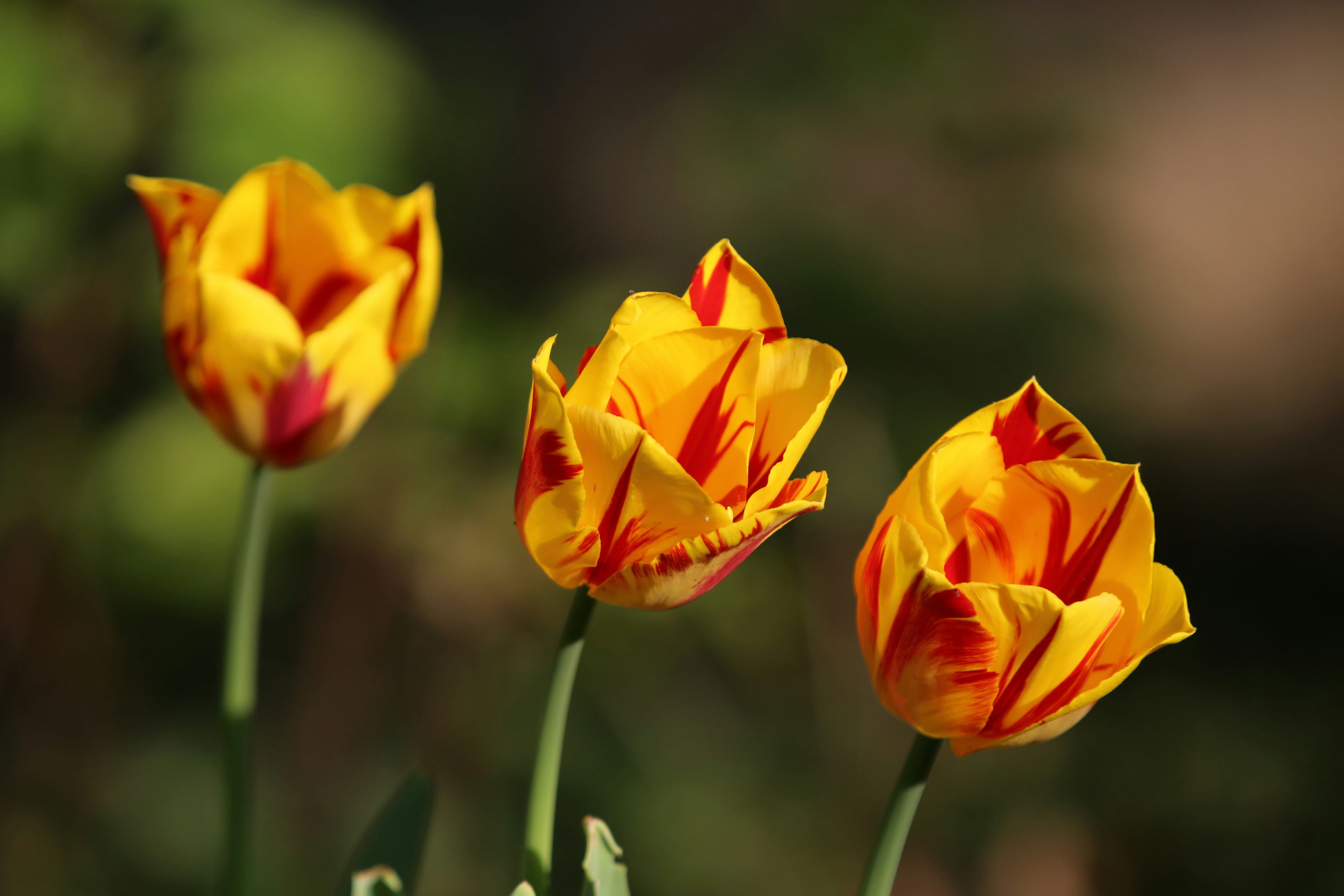 Photo by georgeiermann