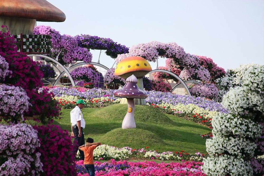 wide angle photo of flower park