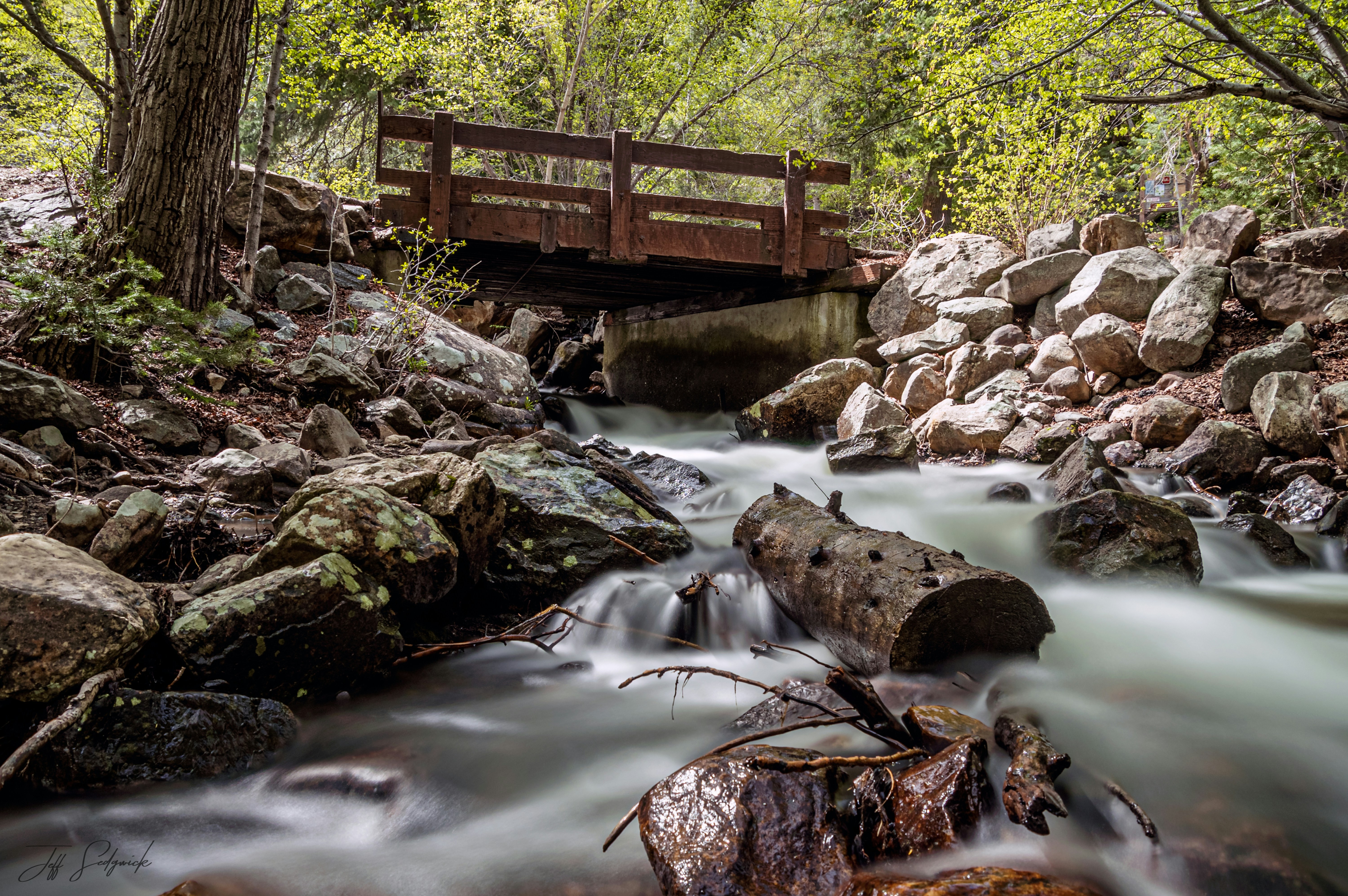 Photo by jeffsedgwickphotography