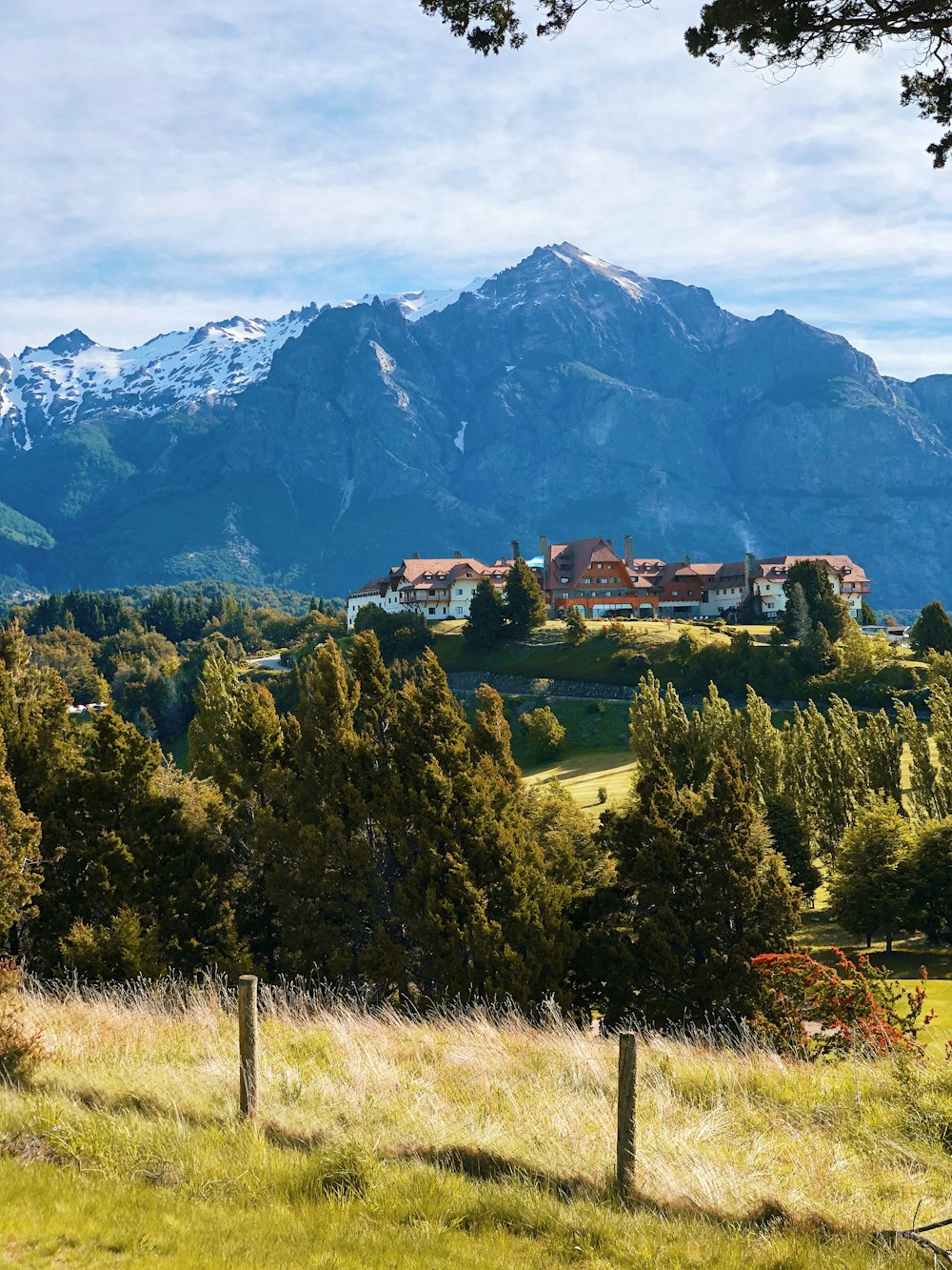 Grüne Bäume und Häuser in der Nähe von Bergen unter weißem Himmel