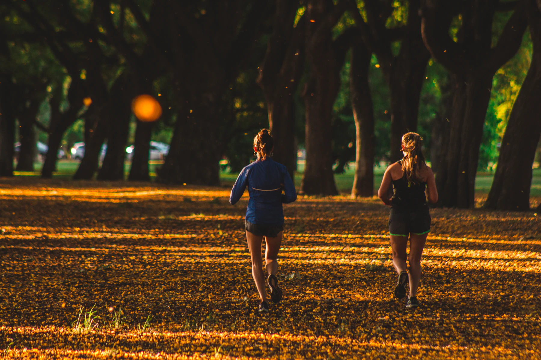 Women running together through a park