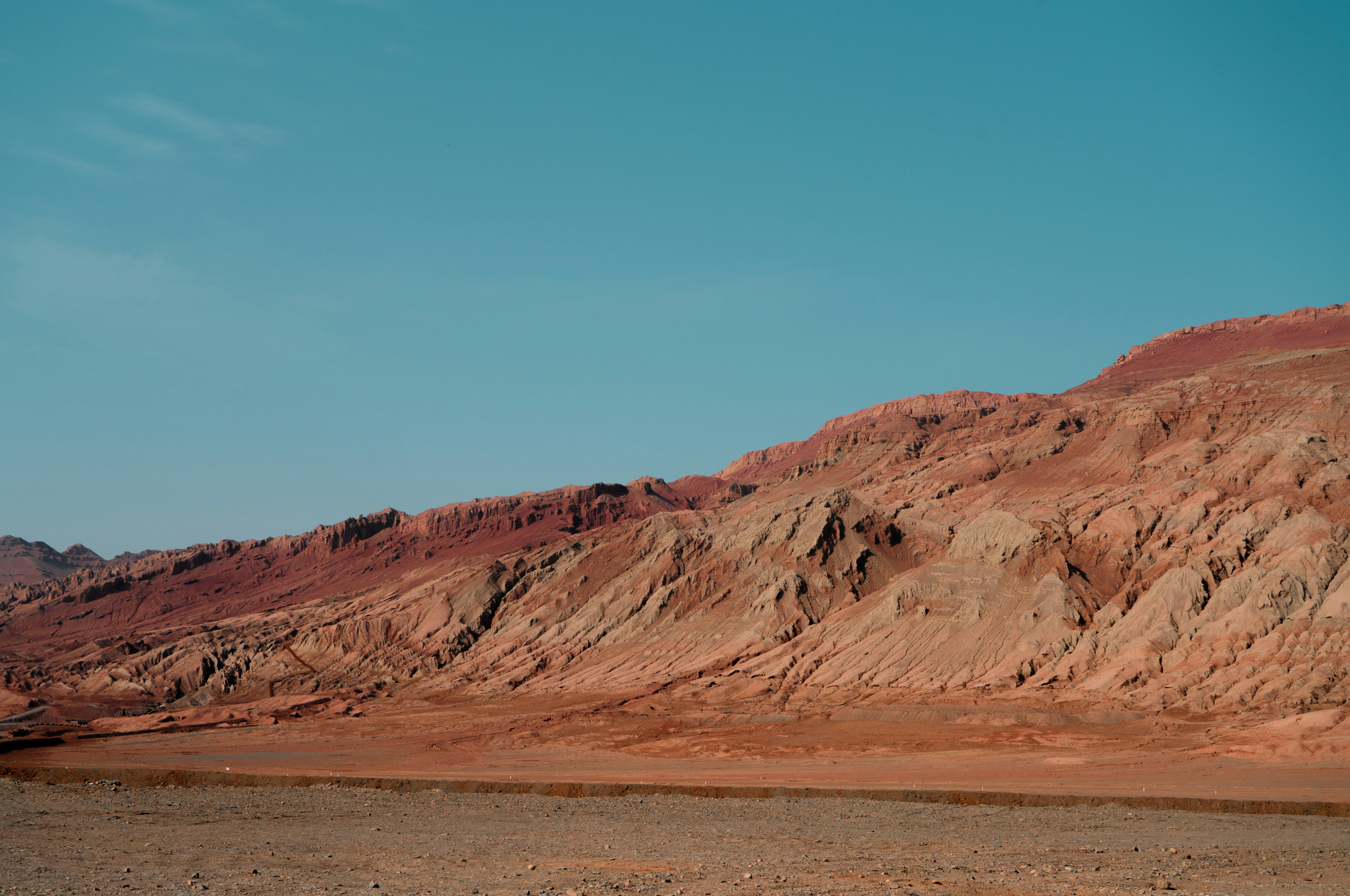 Photo by juniperphoton