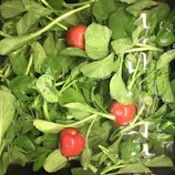 Close-up of fresh vegetables being washed thoroughly under running water.