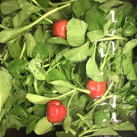 Fresh green leafy vegetables and bright red tomatoes are submerged in water. The vegetables appear clean and ready to be used, with water droplets visible on the leaves.