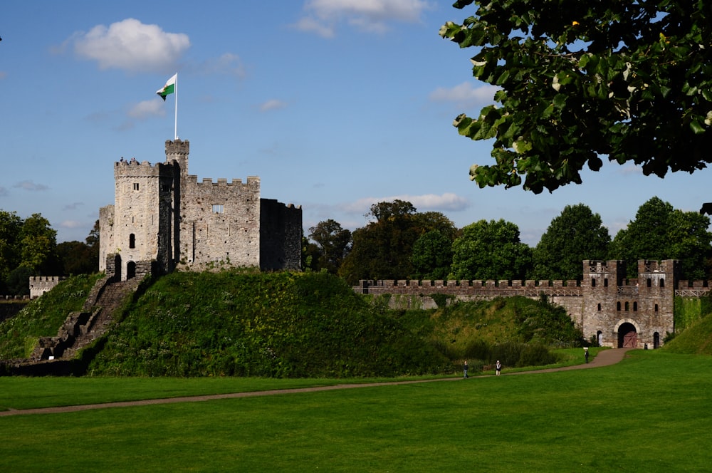 castle surrounded with trees under blue sky