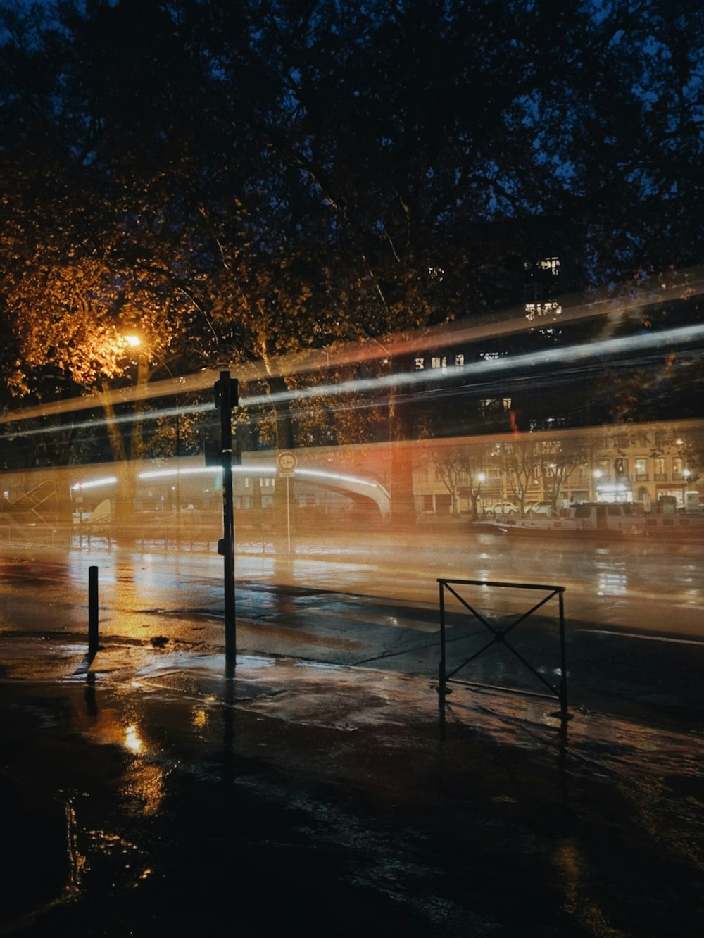 lighted street and tree