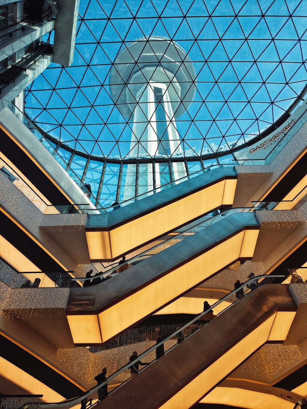 people on stairs in building