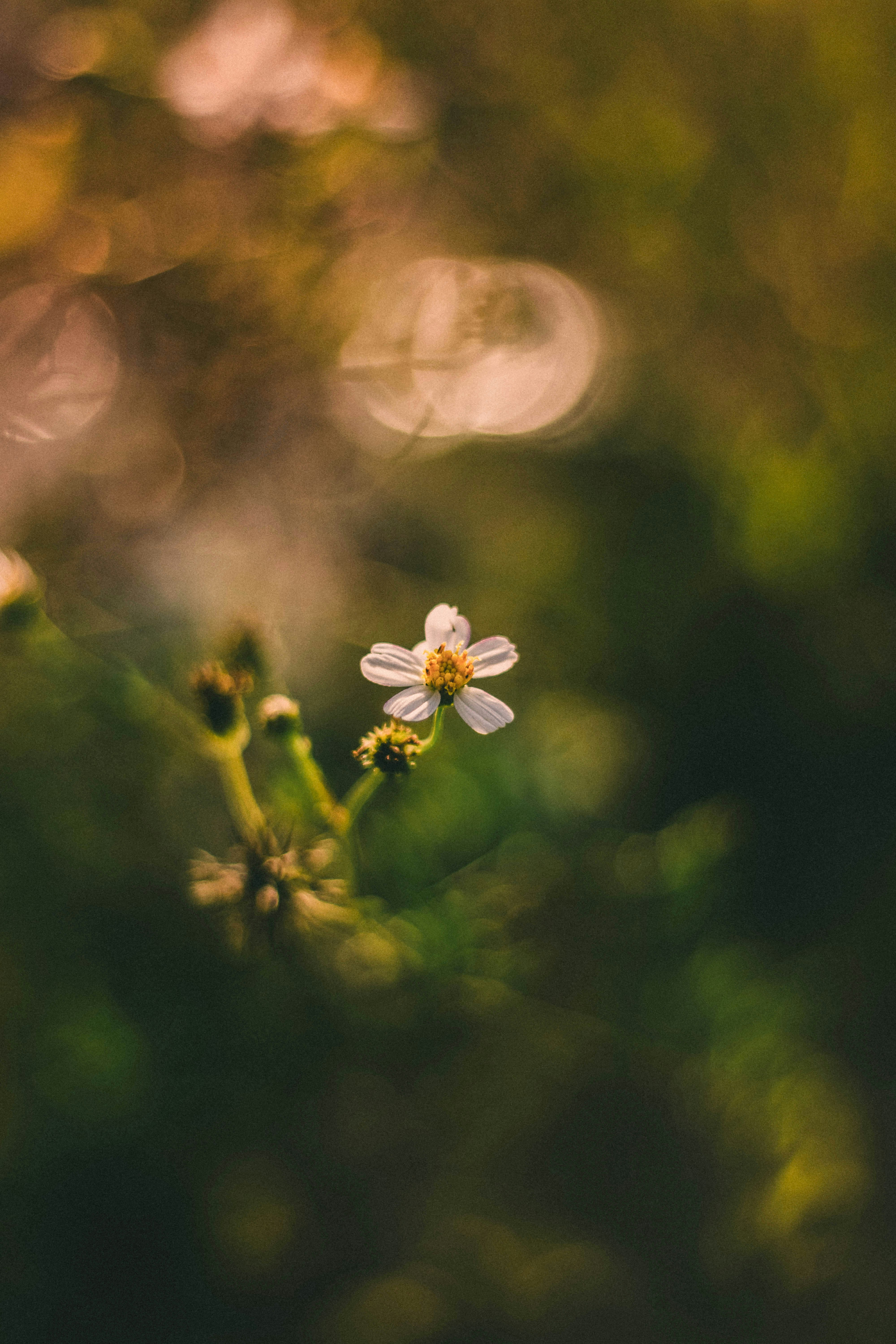 Photo by ibrahim_ifaax