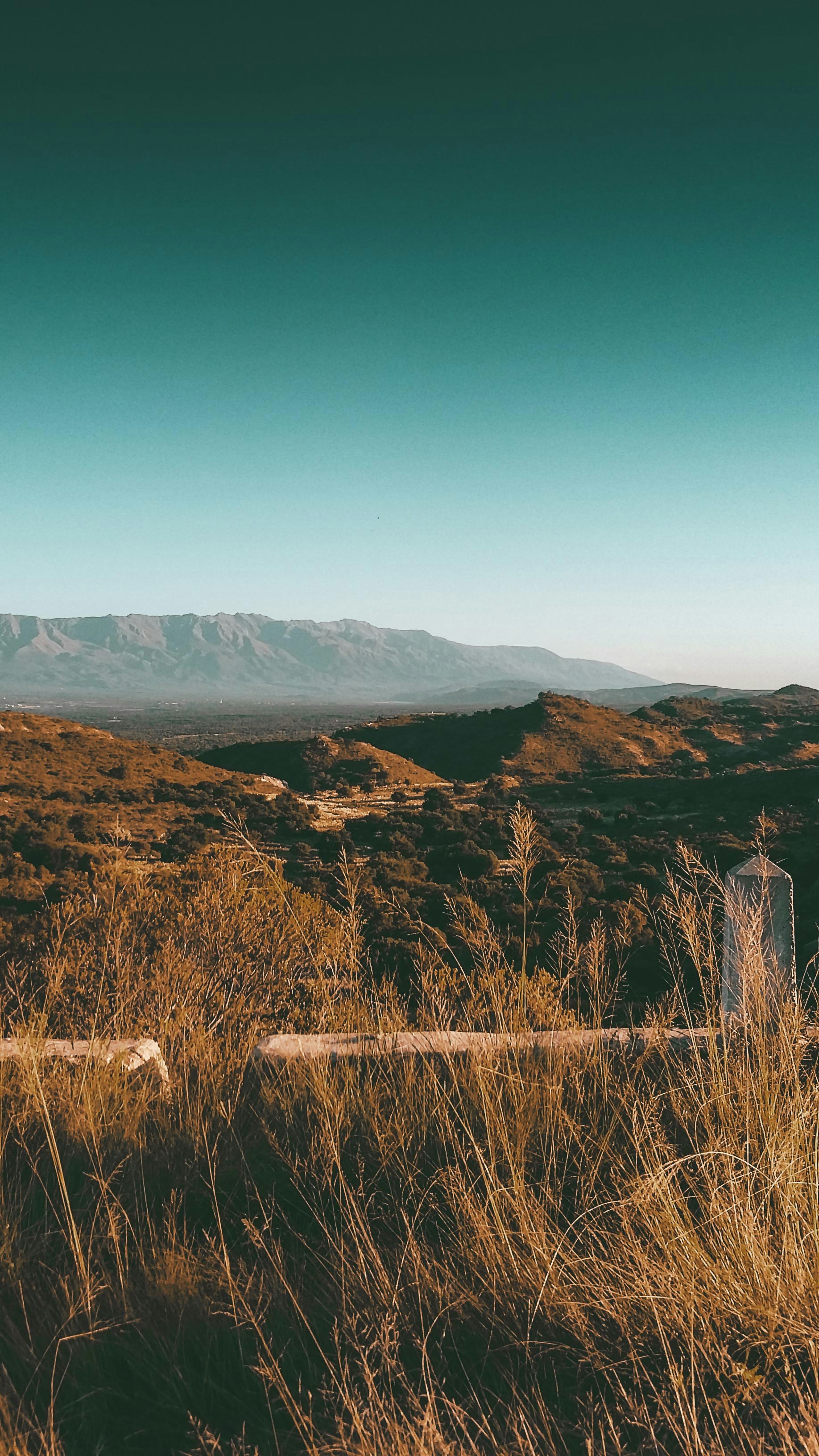 Photo by lucasvphotos