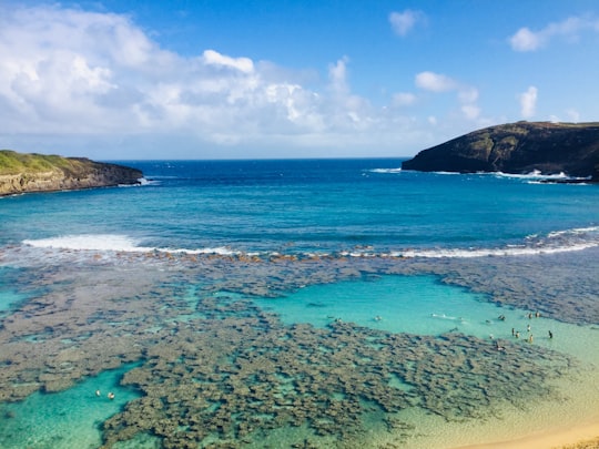 body of water under blue sky during daytime in Hanauma Bay Nature Preserve United States