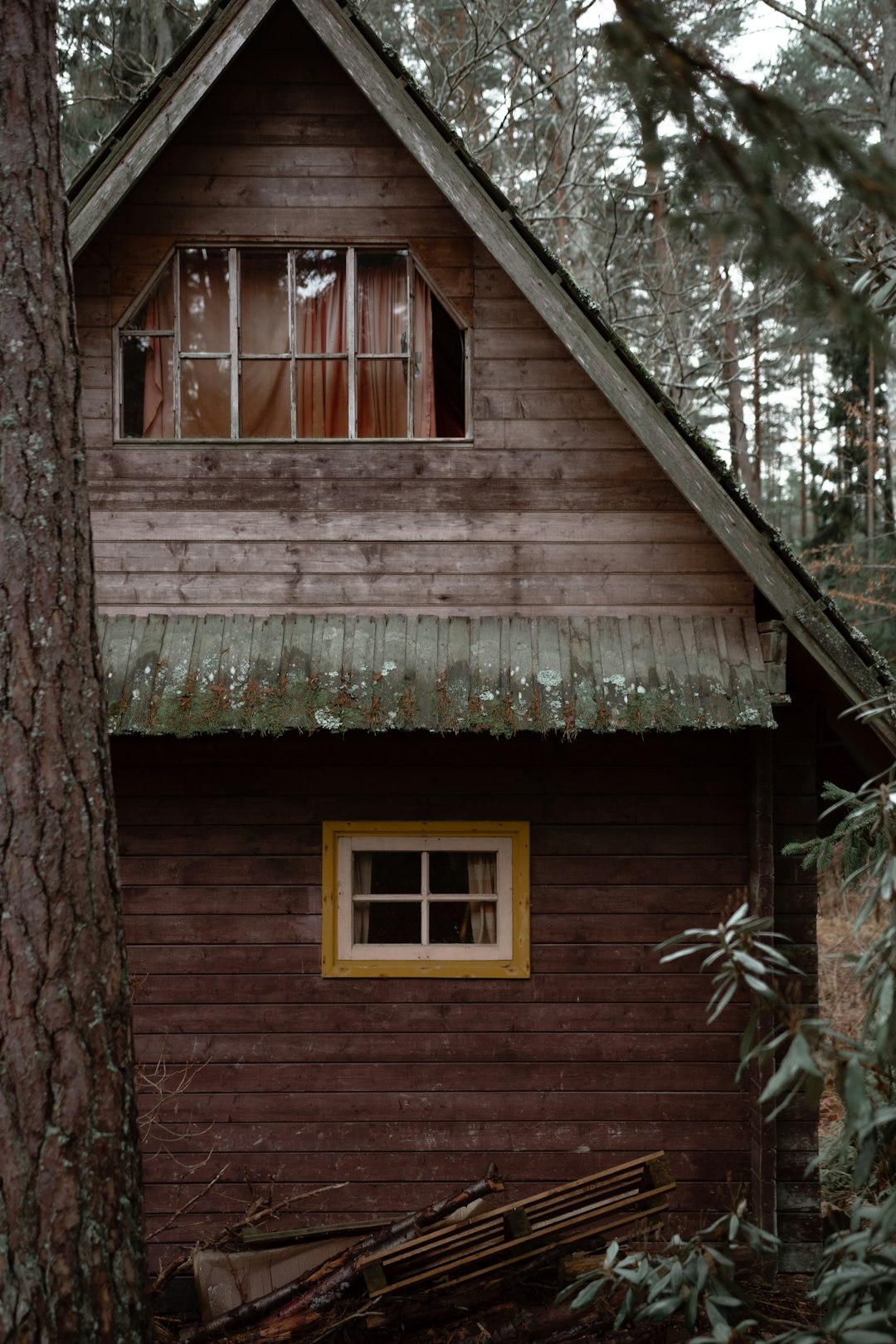 brown wooden house in the middle of forest at daytime