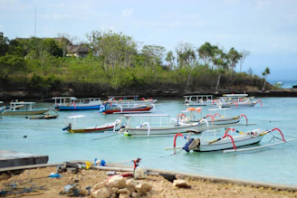 Traditional wooden fishing boats moored gently in a calm lagoon at dawn.