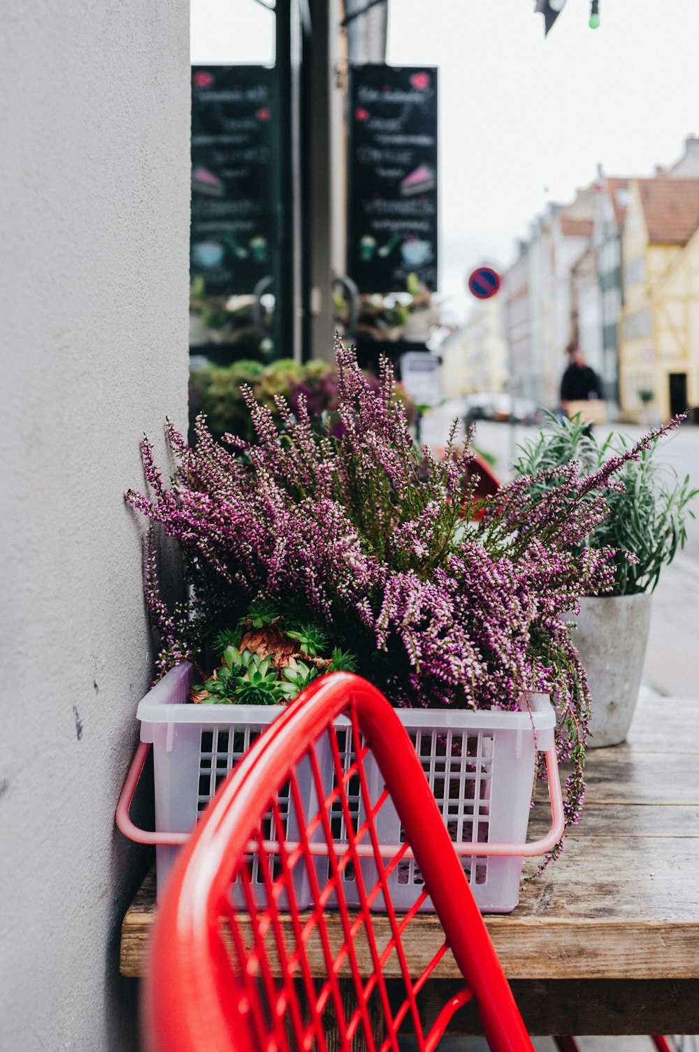 flores de pétalos púrpuras en canasta por pared