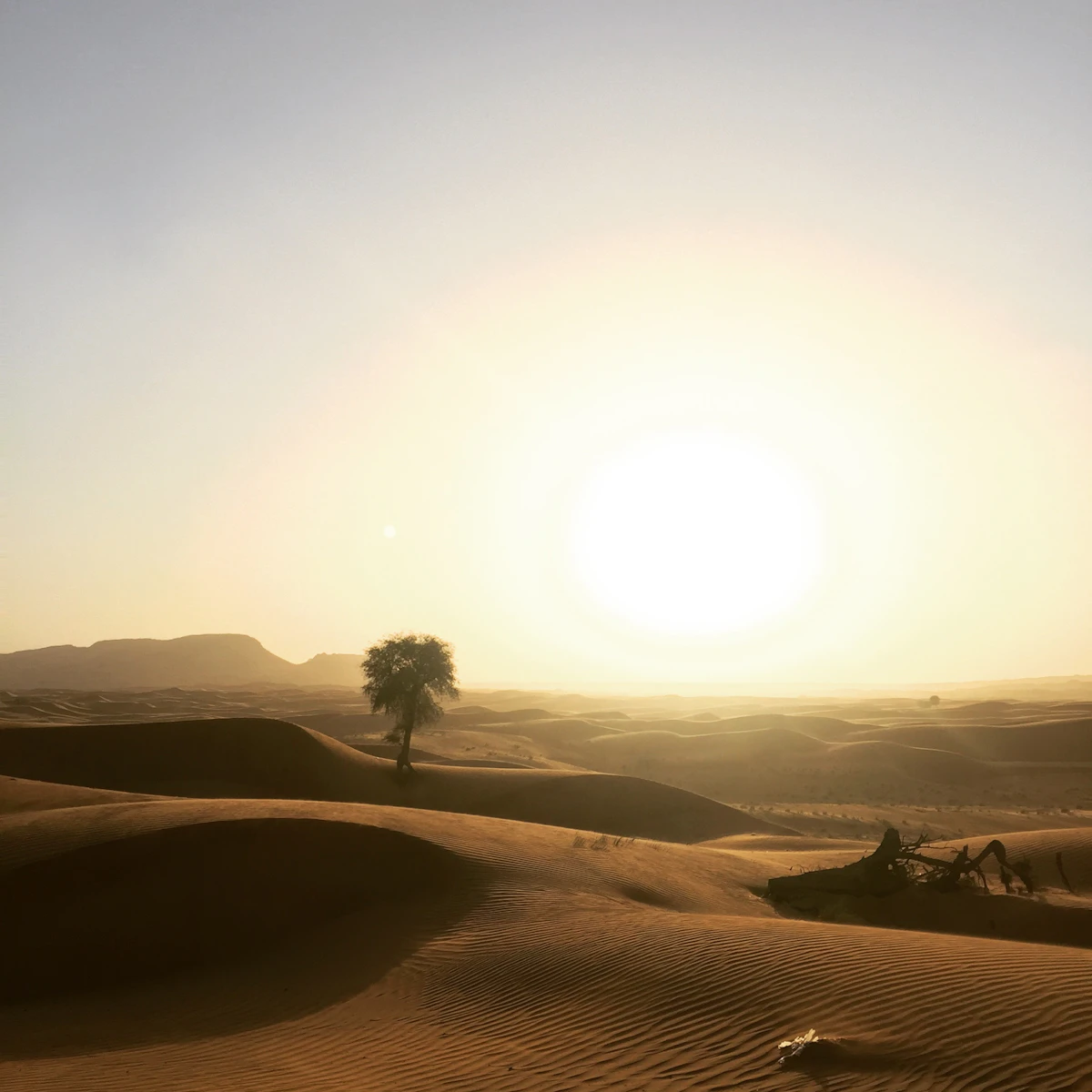 Rolling golden dunes in the Dubai desert