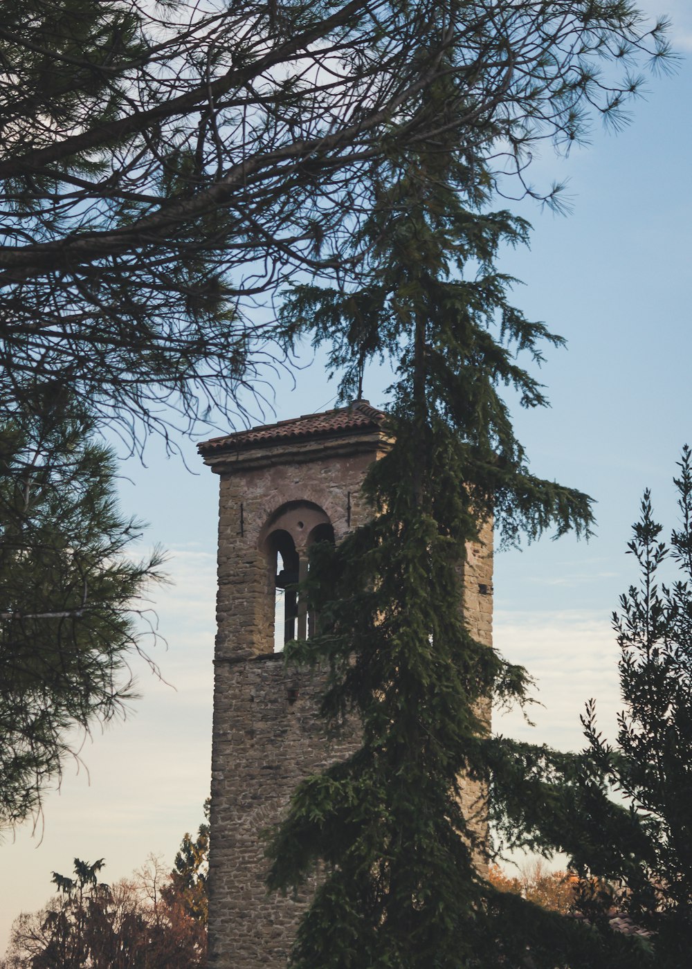 selective focus photography of brown concrete tower during daytime