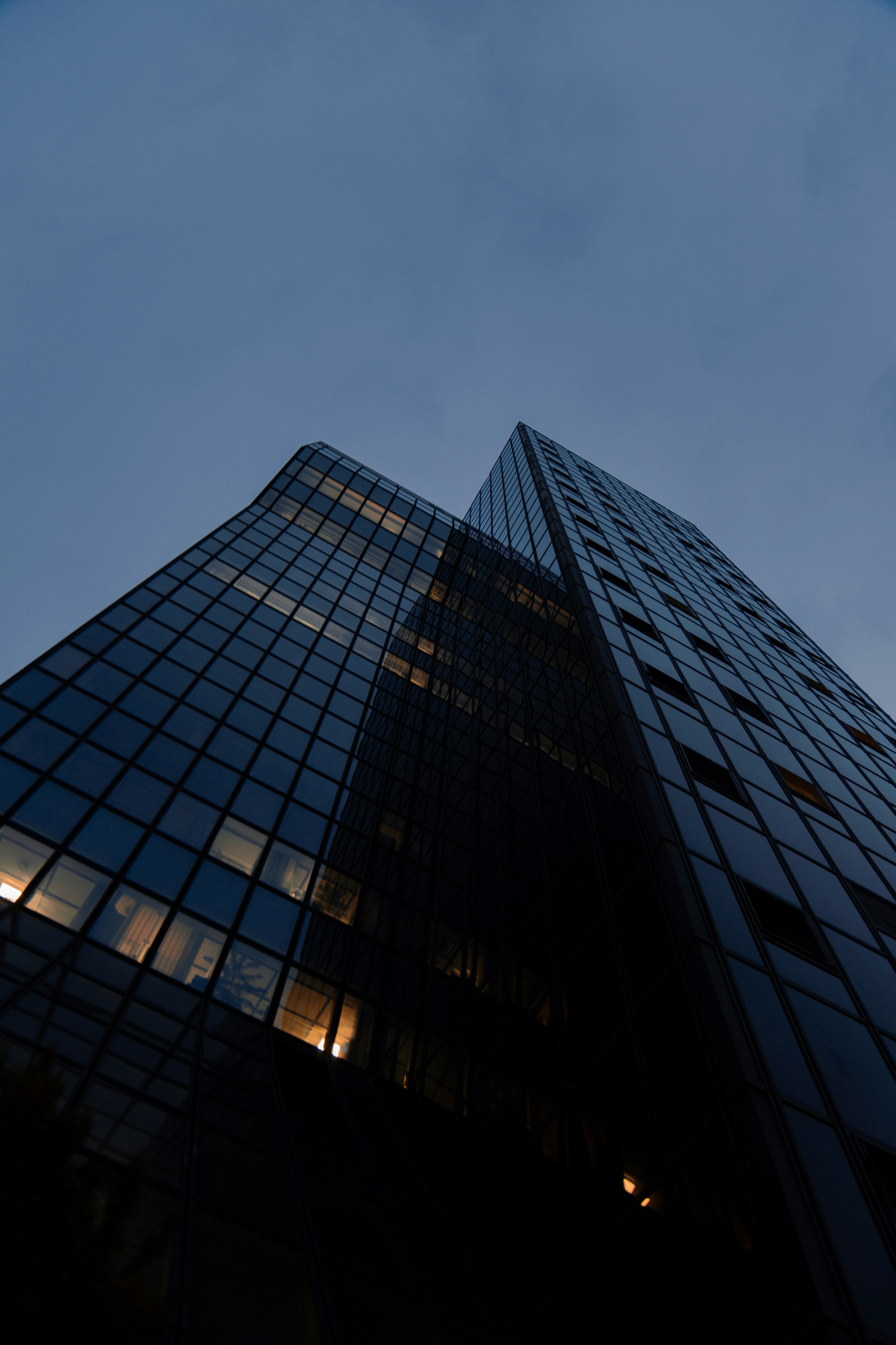 Photo by mohsenamerri