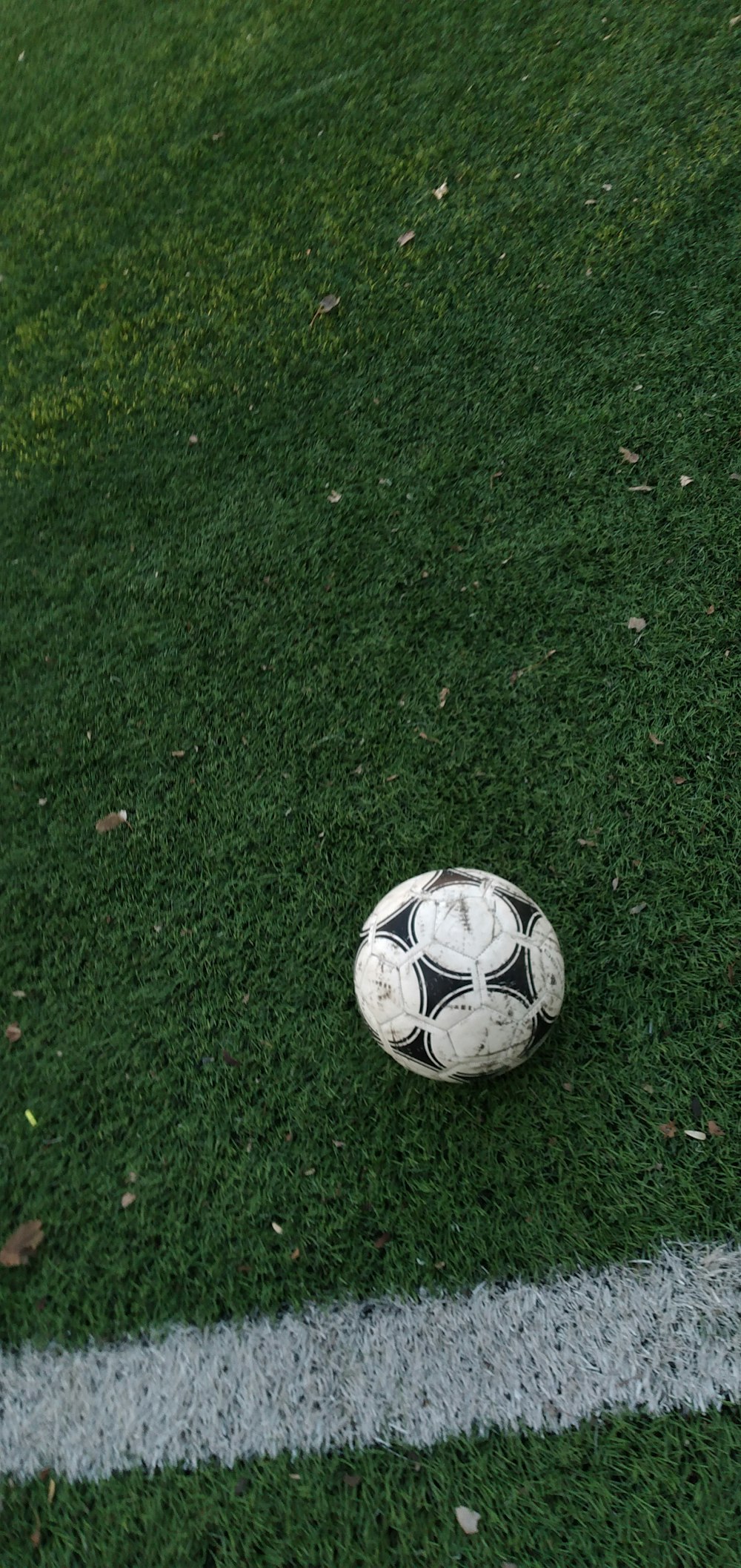 Balón de fútbol blanco y negro sobre césped