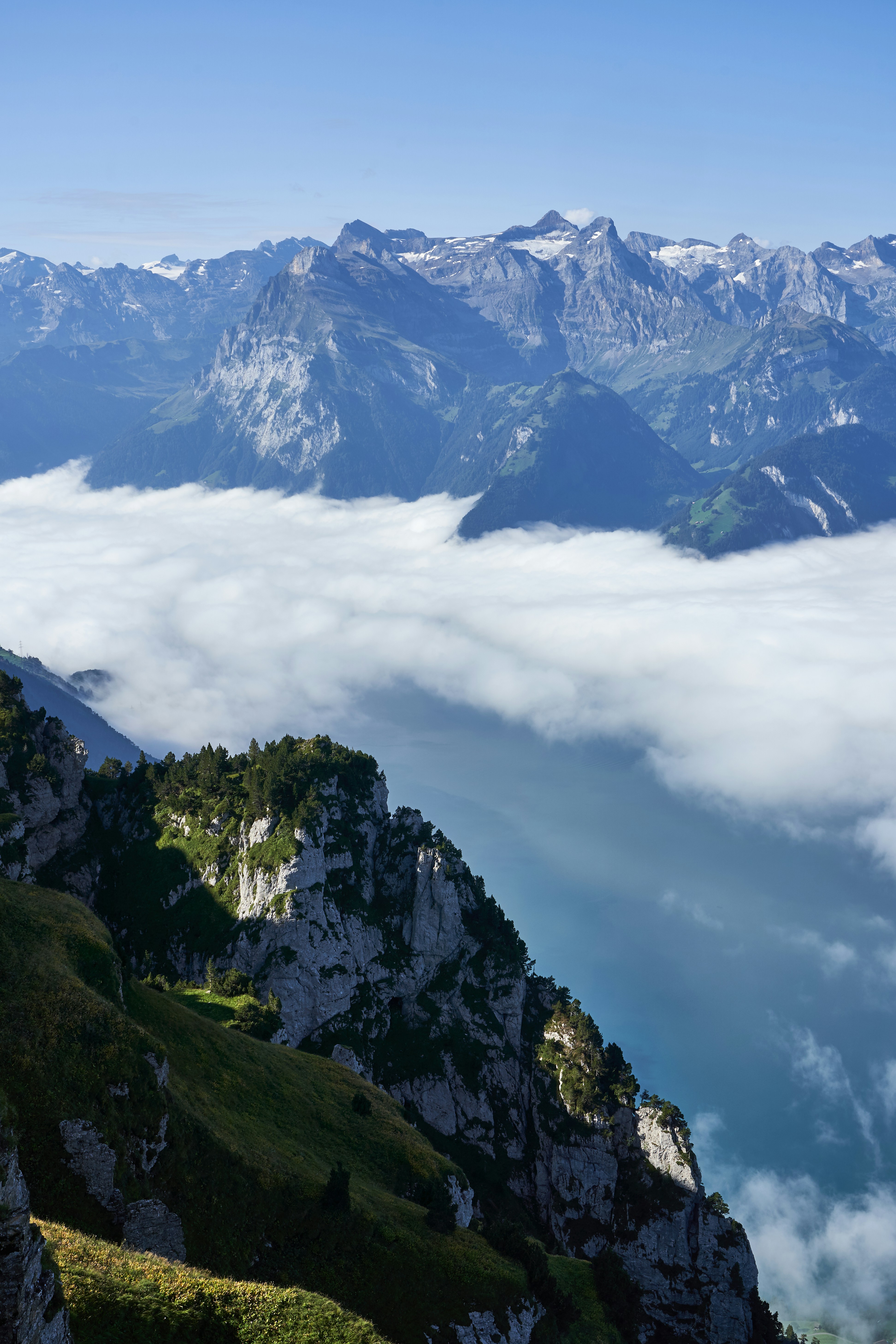 Photo by wolfgang_hasselmann